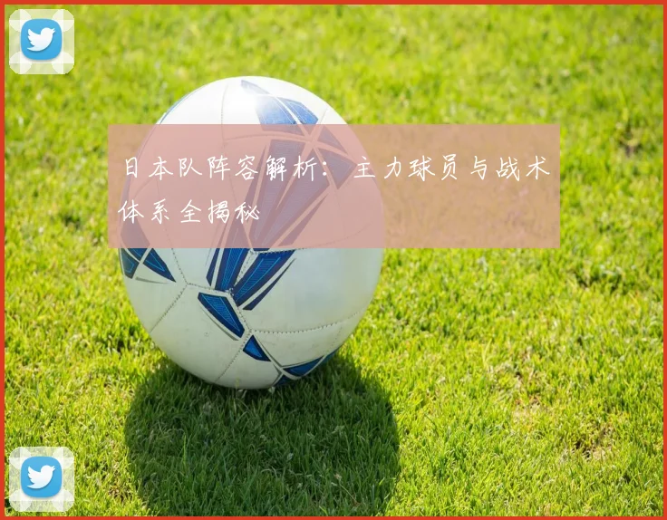 日本队阵容解析：主力球员与战术体系全揭秘