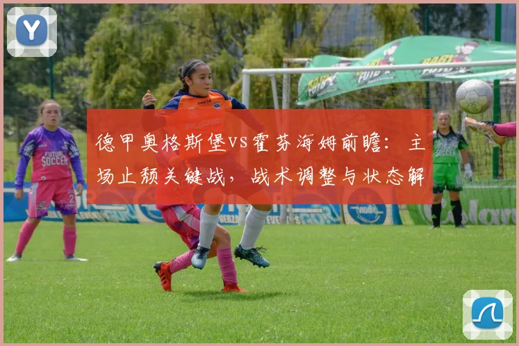 德甲奥格斯堡vs霍芬海姆前瞻：主场止颓关键战，战术调整与状态解读全分析
